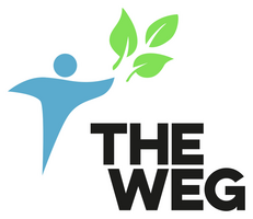 Worcester Environmental Group